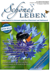 Read more about the article Abb05